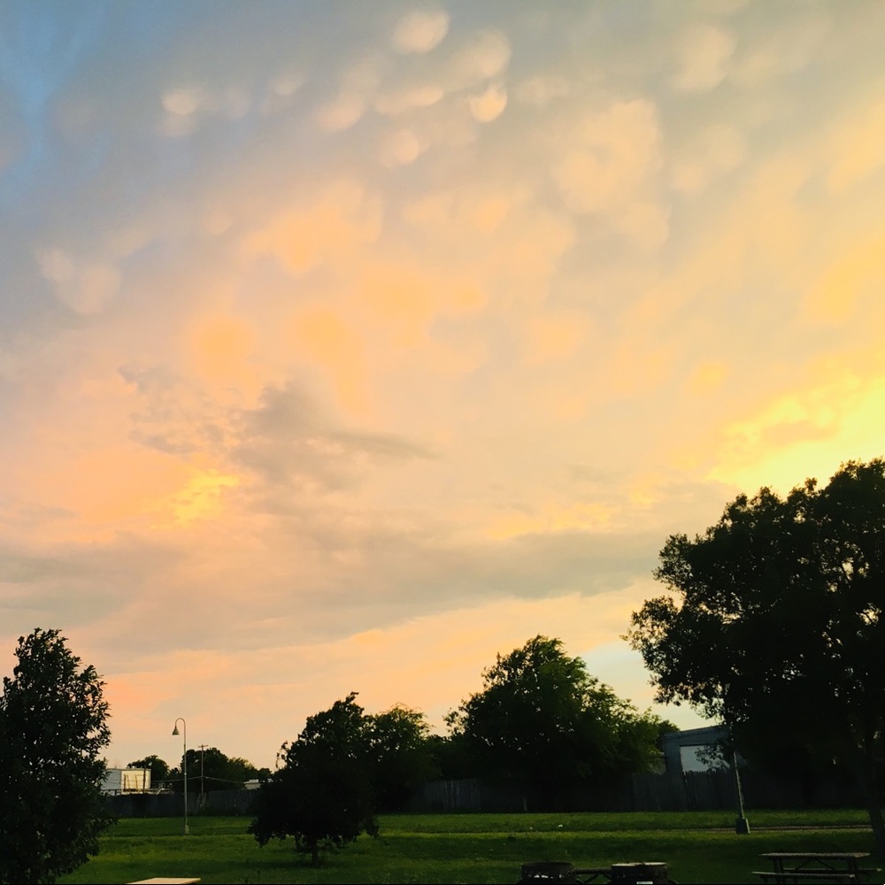 Meet your Posher, Gloria